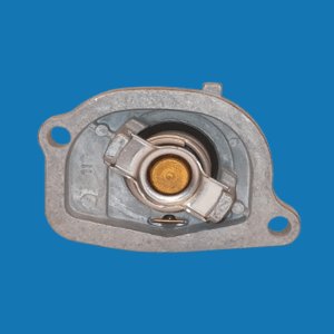 TH5069.87: FIAT PALIO  /  PUNTO  /  SIENA